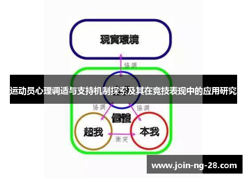 运动员心理调适与支持机制探索及其在竞技表现中的应用研究 运动员心理调适与支持机制探索及其在竞技表现中的应用研究