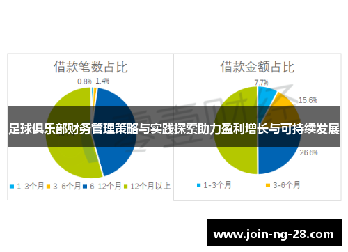 足球俱乐部财务管理策略与实践探索助力盈利增长与可持续发展