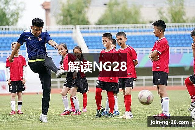 解读NG28